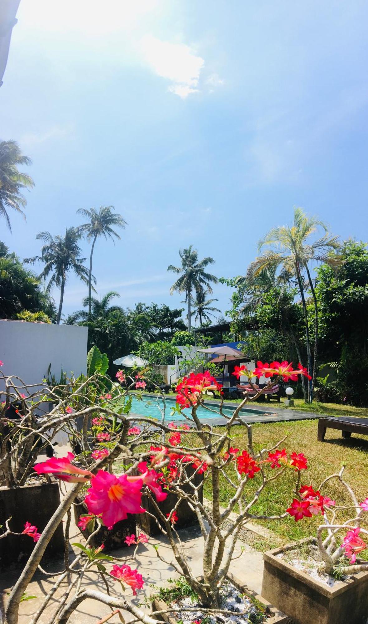 Turtle Eco Beach Matara Luaran gambar