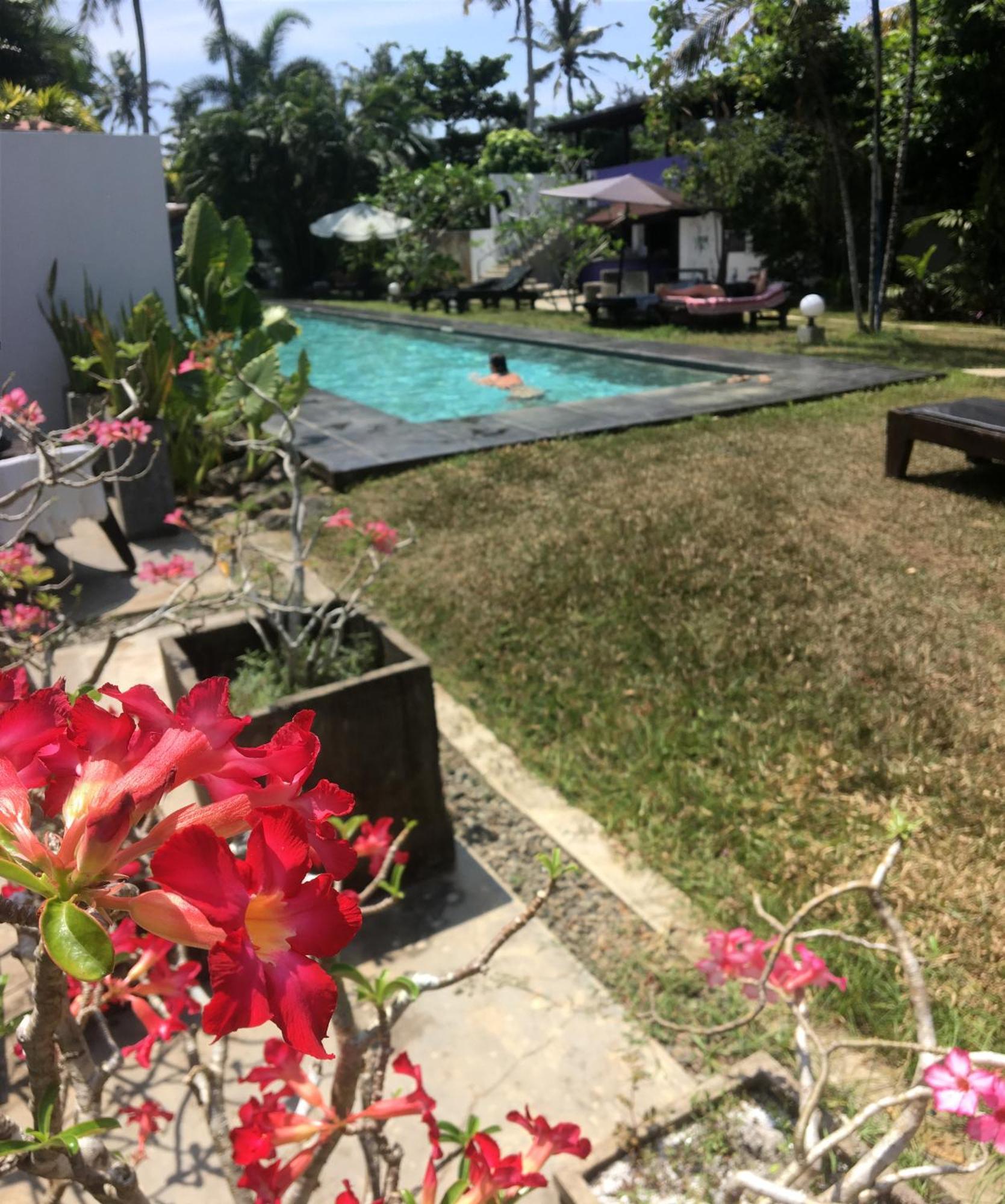 Turtle Eco Beach Matara Luaran gambar