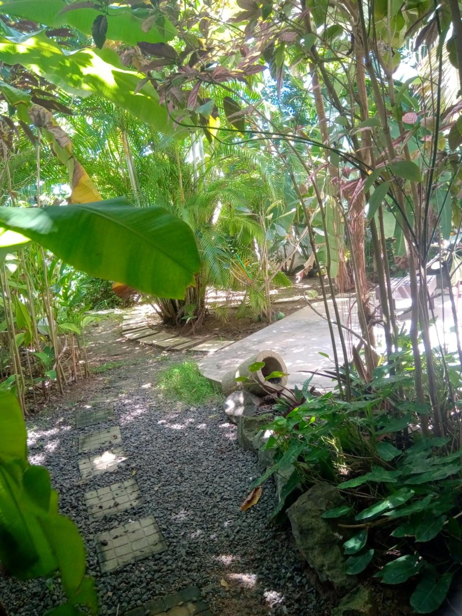 Turtle Eco Beach Matara Luaran gambar
