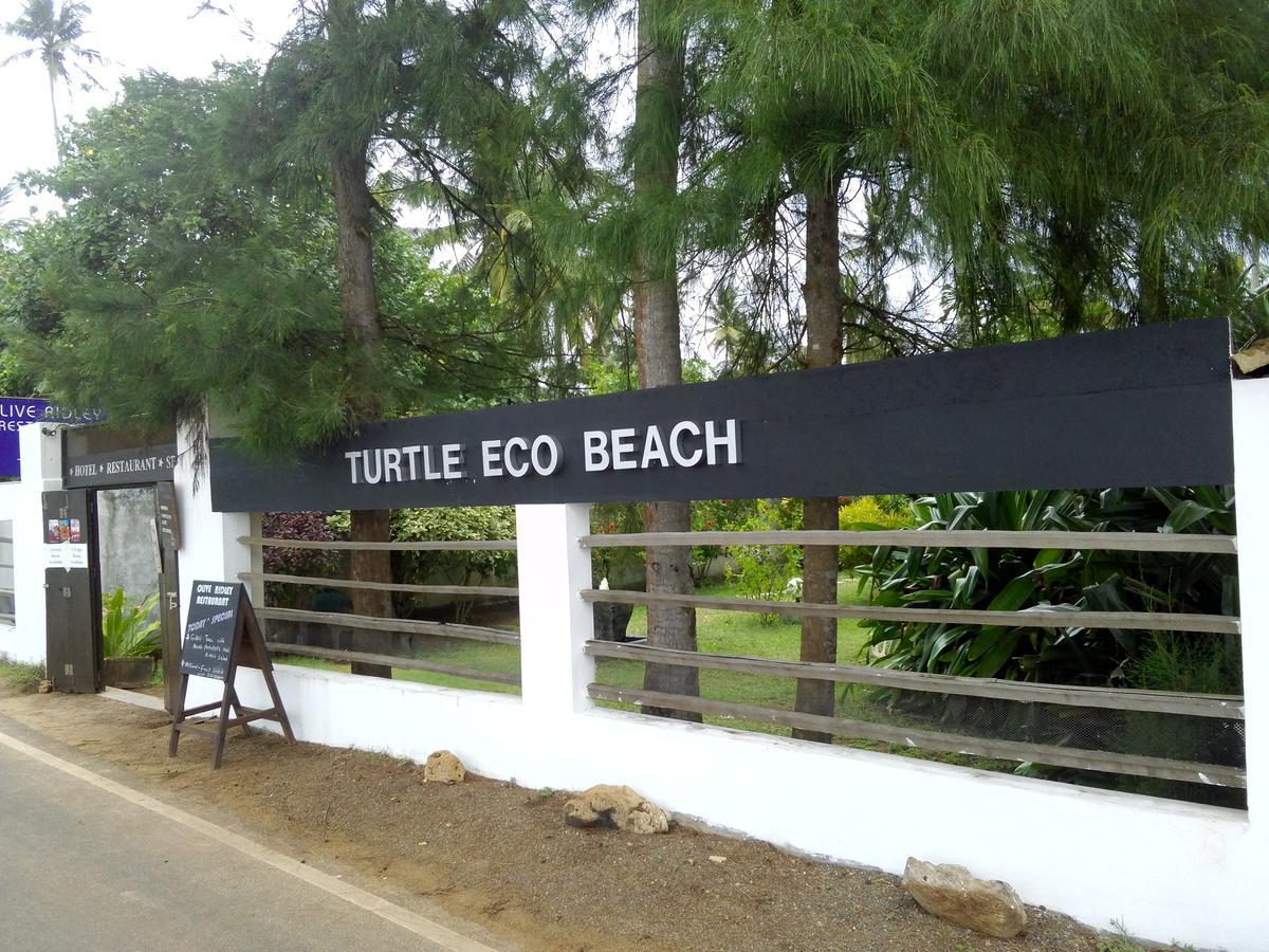 Turtle Eco Beach Matara Luaran gambar