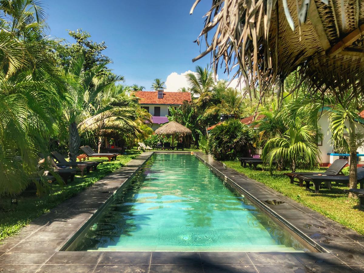 Turtle Eco Beach Matara Luaran gambar
