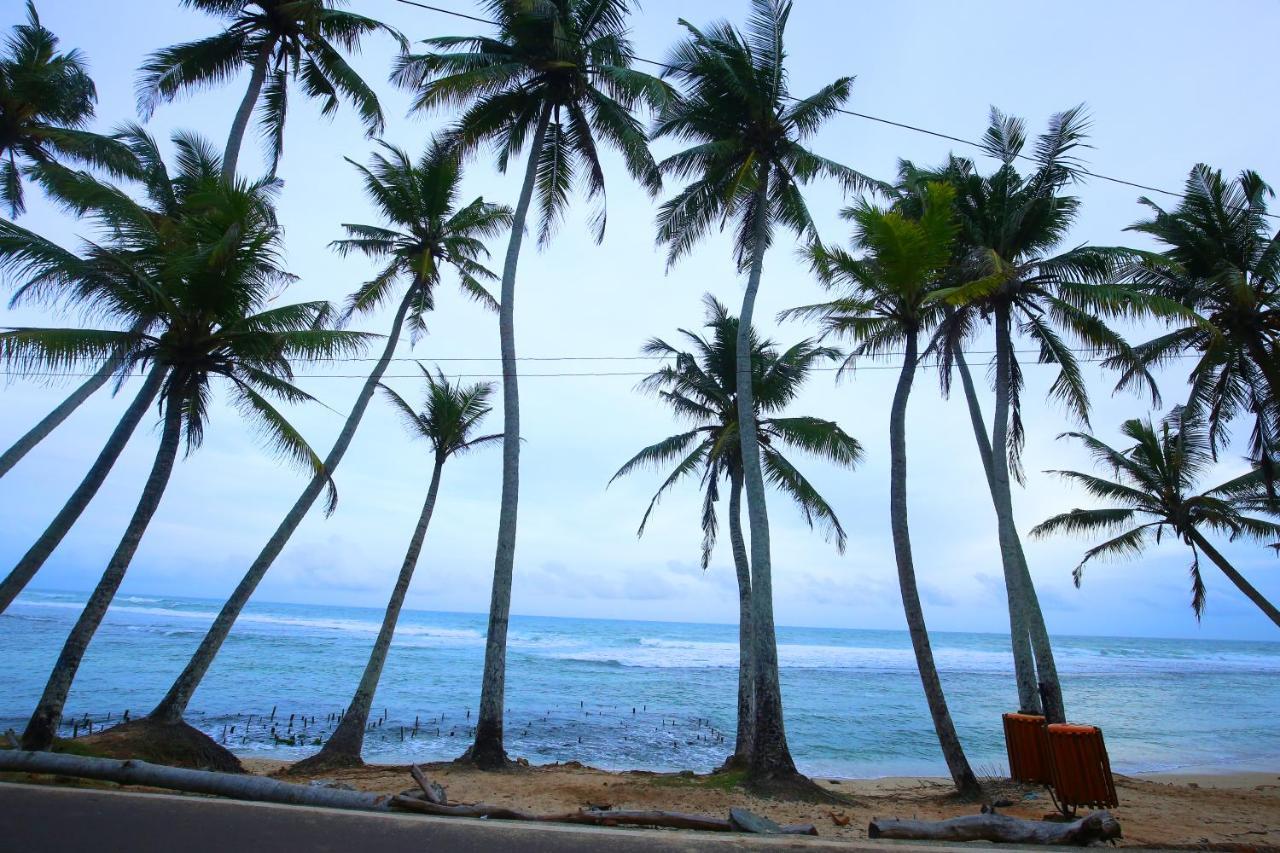 Turtle Eco Beach Matara Luaran gambar